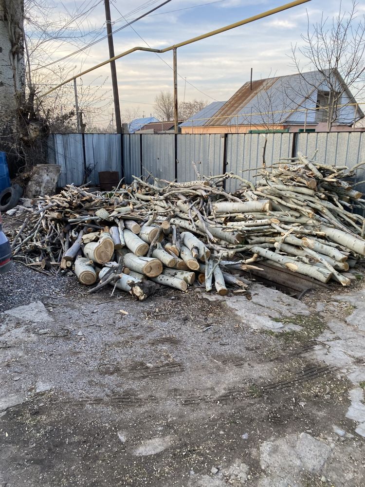 Продам дрова серебряк
