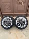 Advan  SFT  RS-V R18