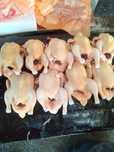 Мясо куринное  ! Бройлерры