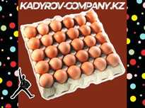 Получите продуктивных кур с инкубационными яйцами Ломан Браун!