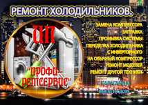 Ремонт холодильников и др. бытовой техники