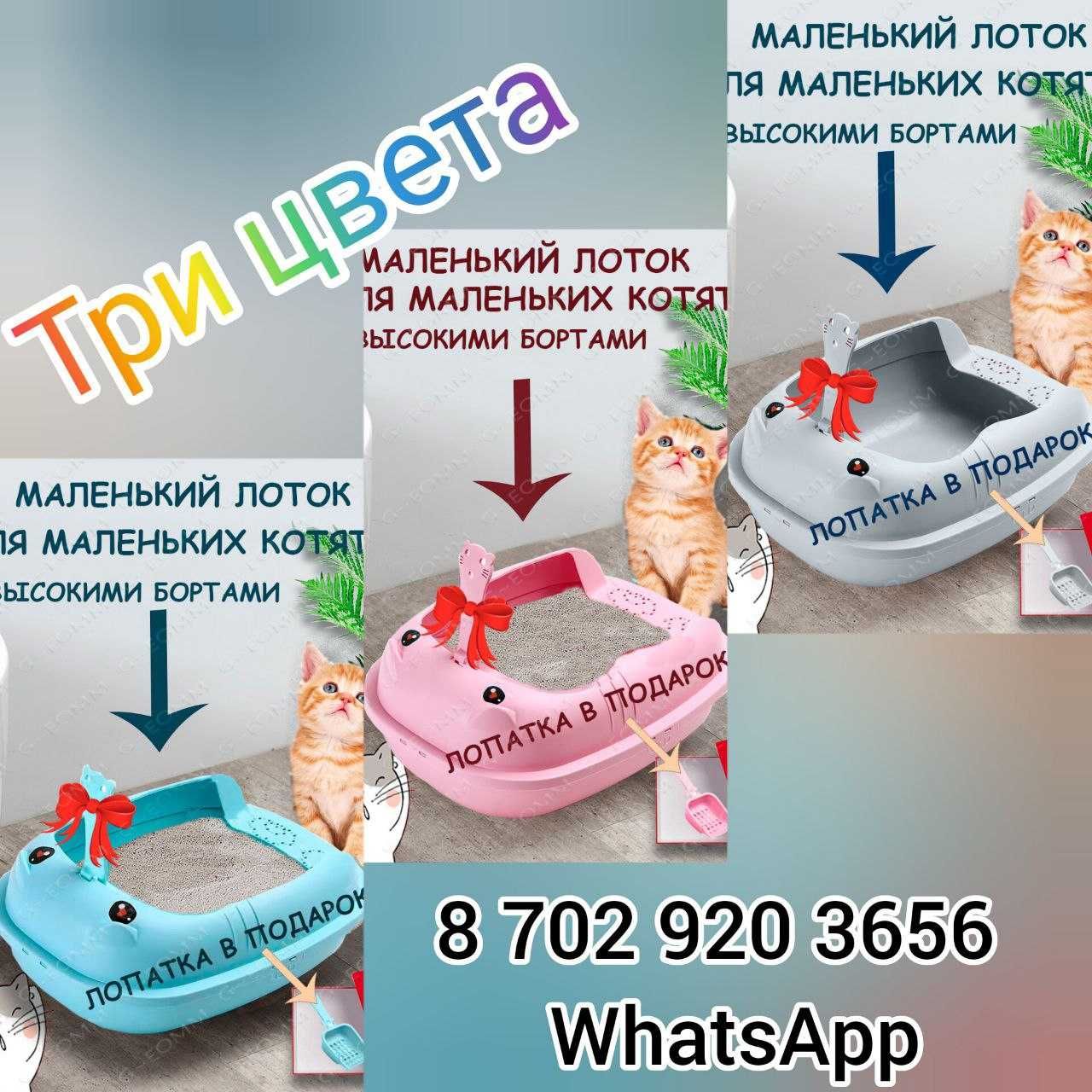 Лоток для кошек и животных - маленьких котят, черепах, ежиков