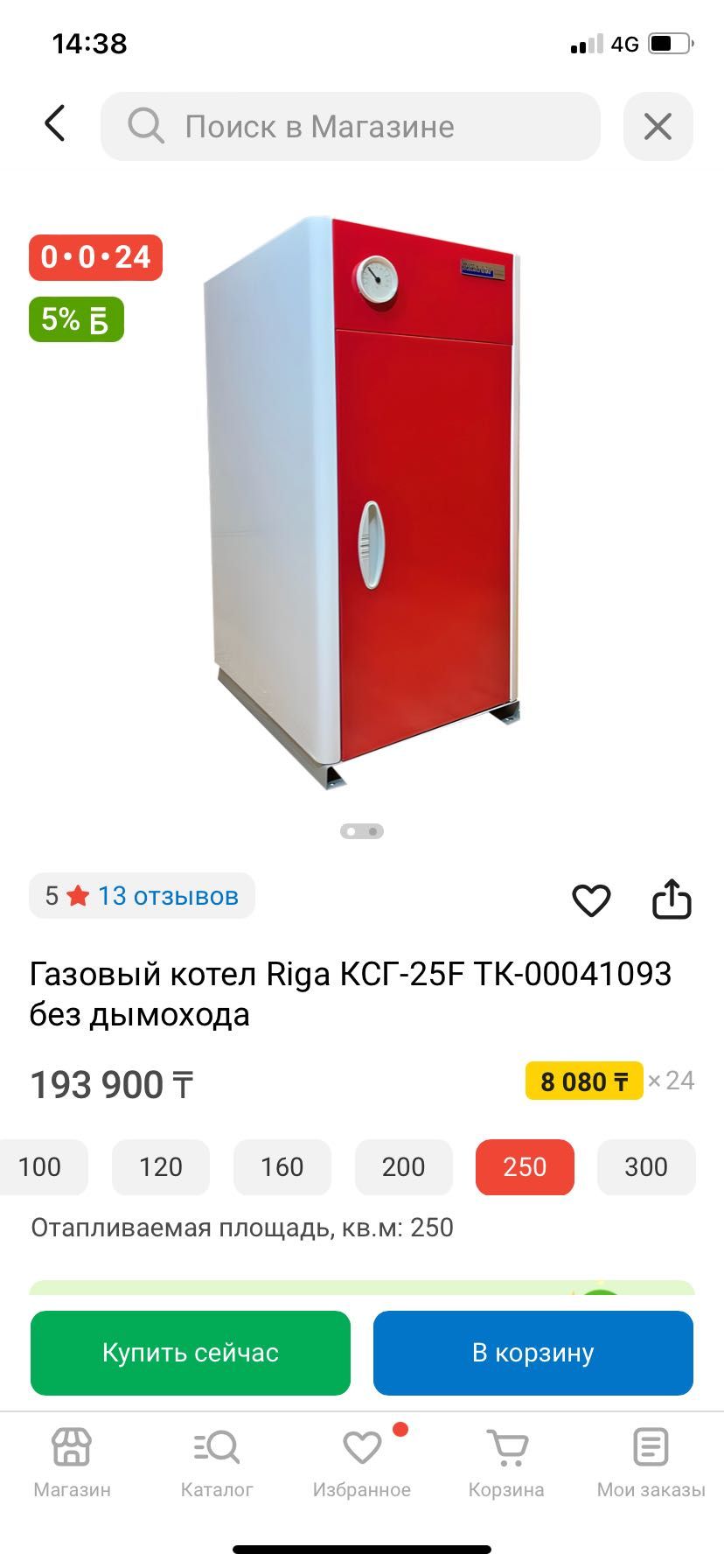 Газовый котел Riga
