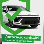 Действующий бизнес в сквере автомобильного страхования