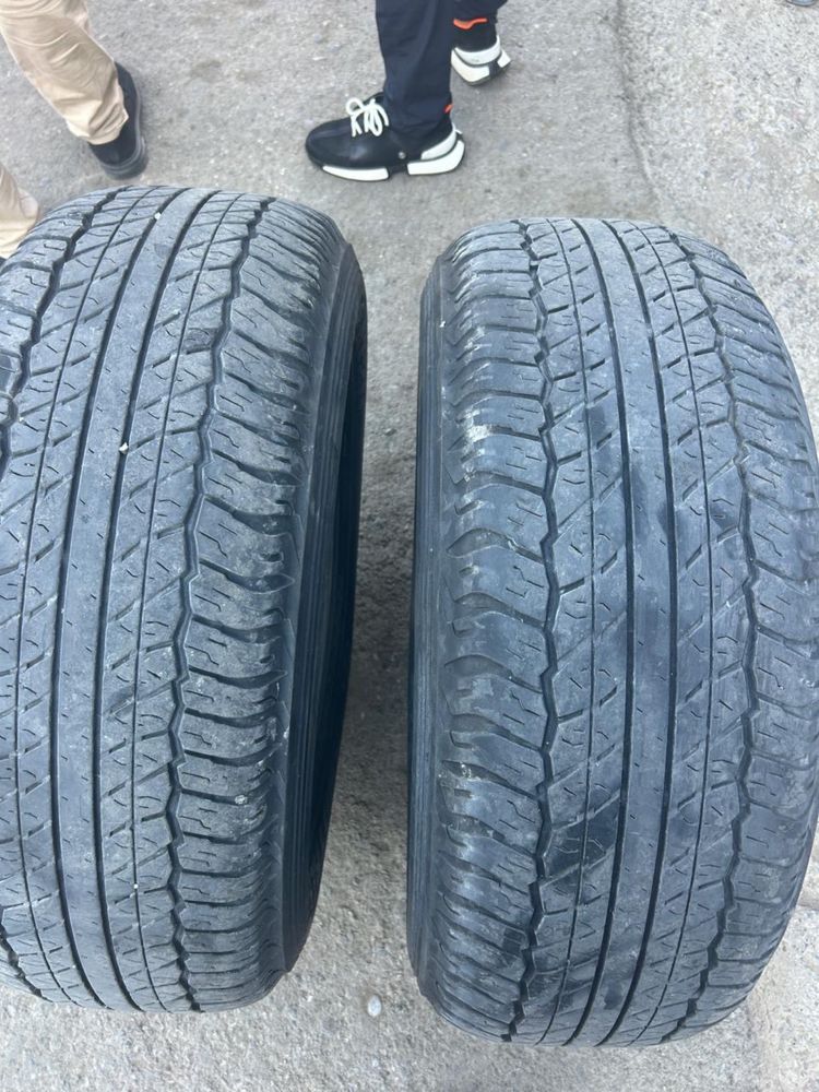 Шины Dunlop AT-20