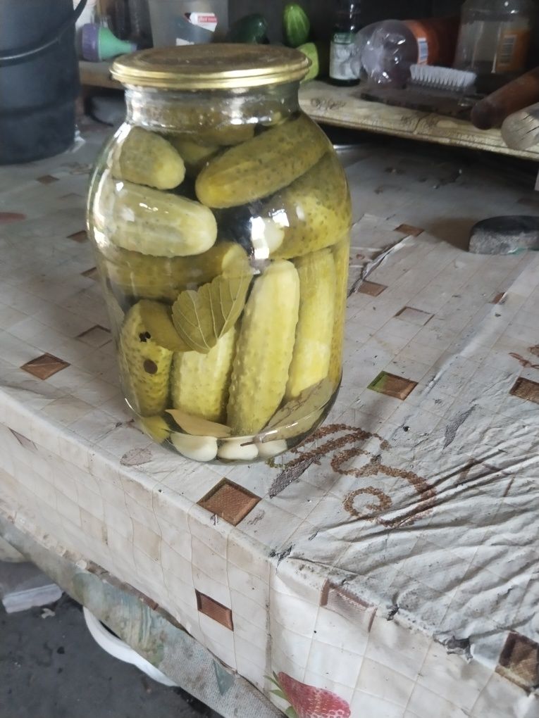 Продам соленые огурцы