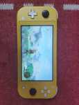 Прошитый Nintendo Switch Lite