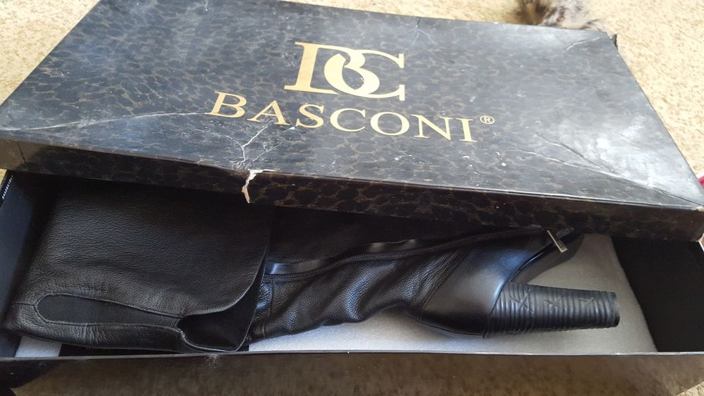 Женские зимние сапоги ботфорты Basconi