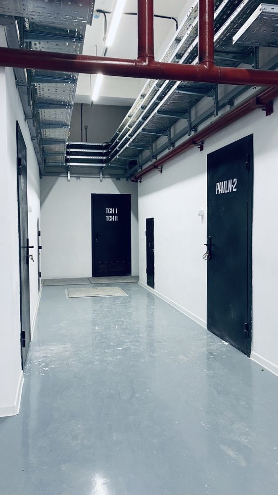 Покраска Побелка   Закатка эмульсией квартир малярные работы