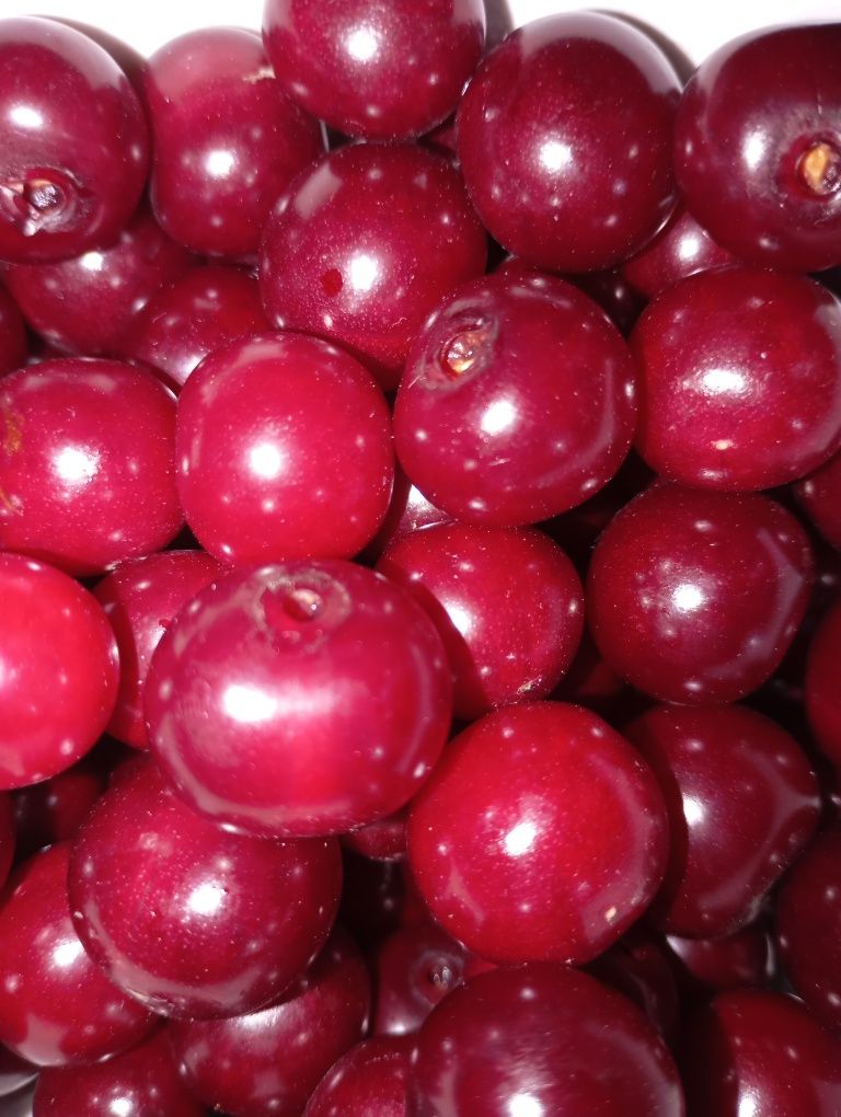 Продам вишню есть доставка можно заказать заранее крупная  кабачки и т