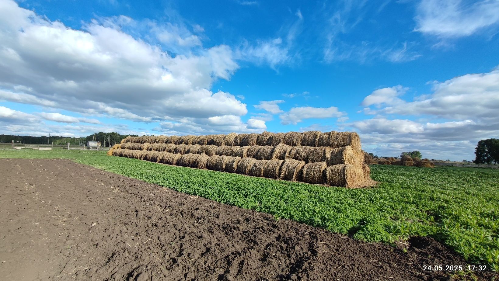 Продам сено, луговое, пресс прф-145,
