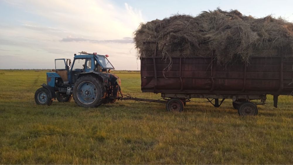 Трактор МТЗ80 продам