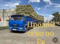 Полдам сено тюках тюкованное