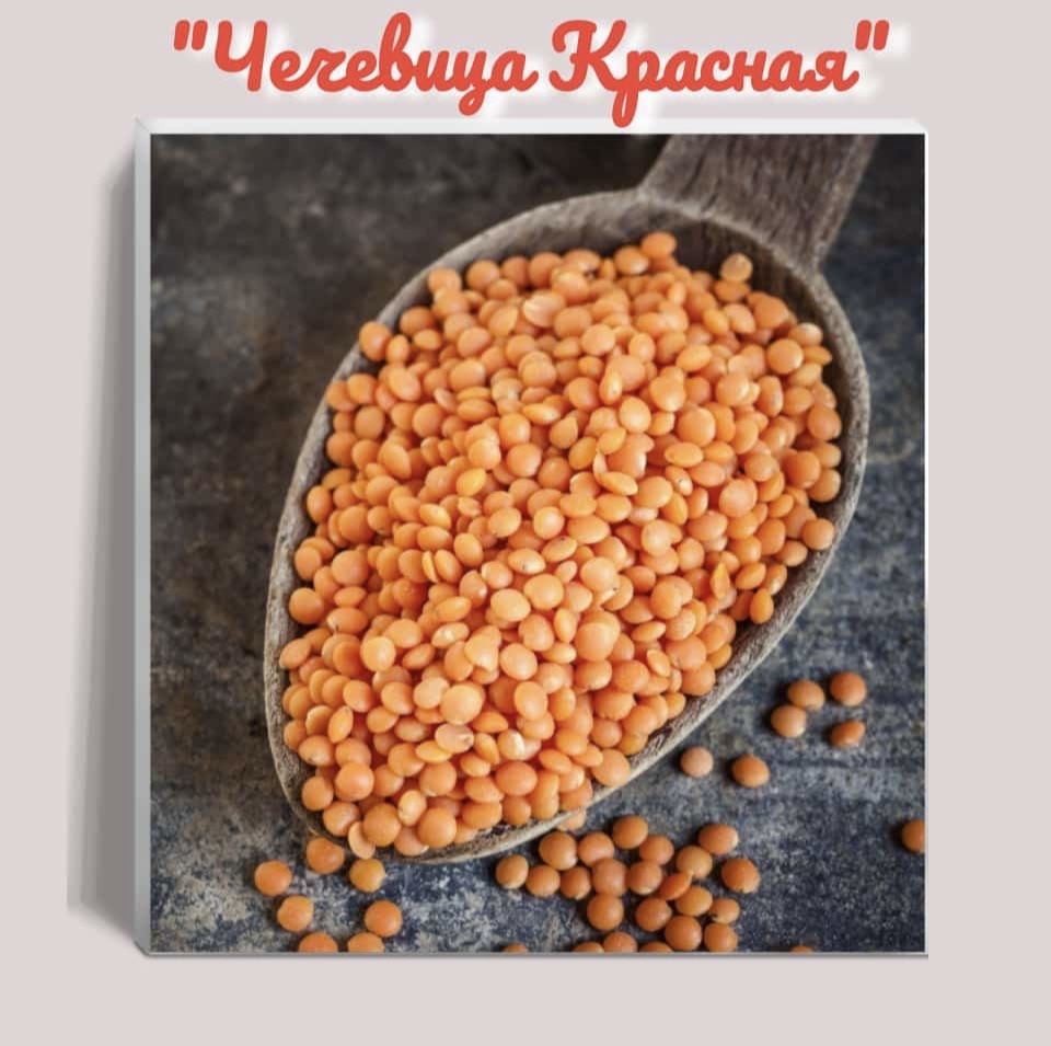 Сахар оптом,вагоные поставки ,НДС ,все крупы в наличии