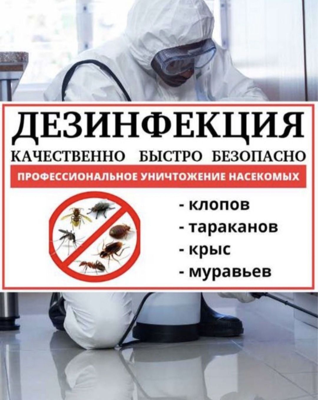 Дезинфекция клопов и тараканов