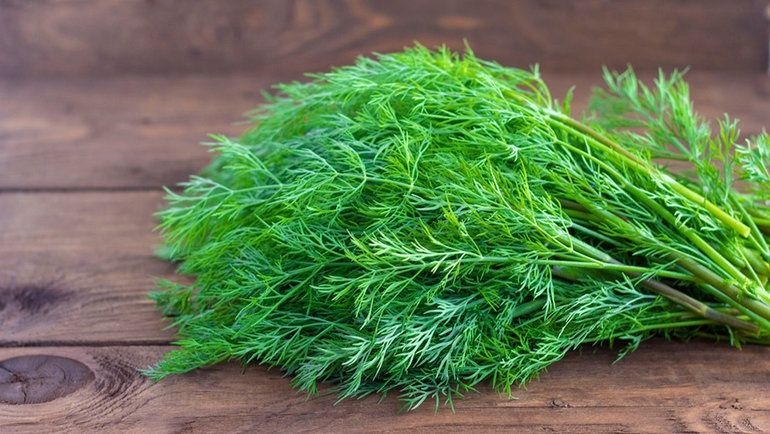 Продам укроп и листья хрена