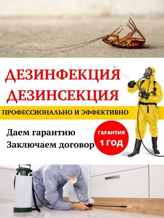 Дезинфекция Уничтожение клопов тараканов мошек блох ос крыс муравьев