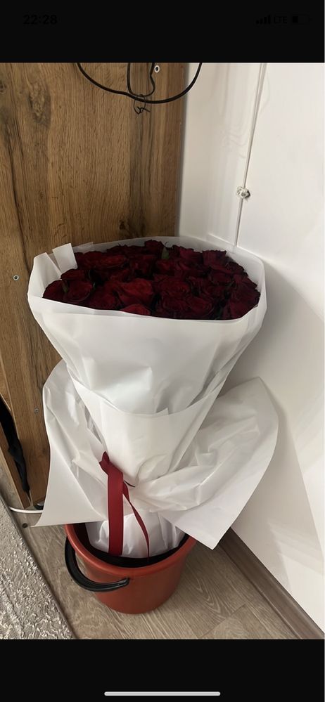 Красные розы 51 шт свежие