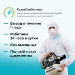 Уничтожение клопов тараканов мышей жучков ос клещей плесени блох