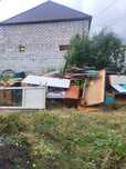 Дрова отдам бесплатно