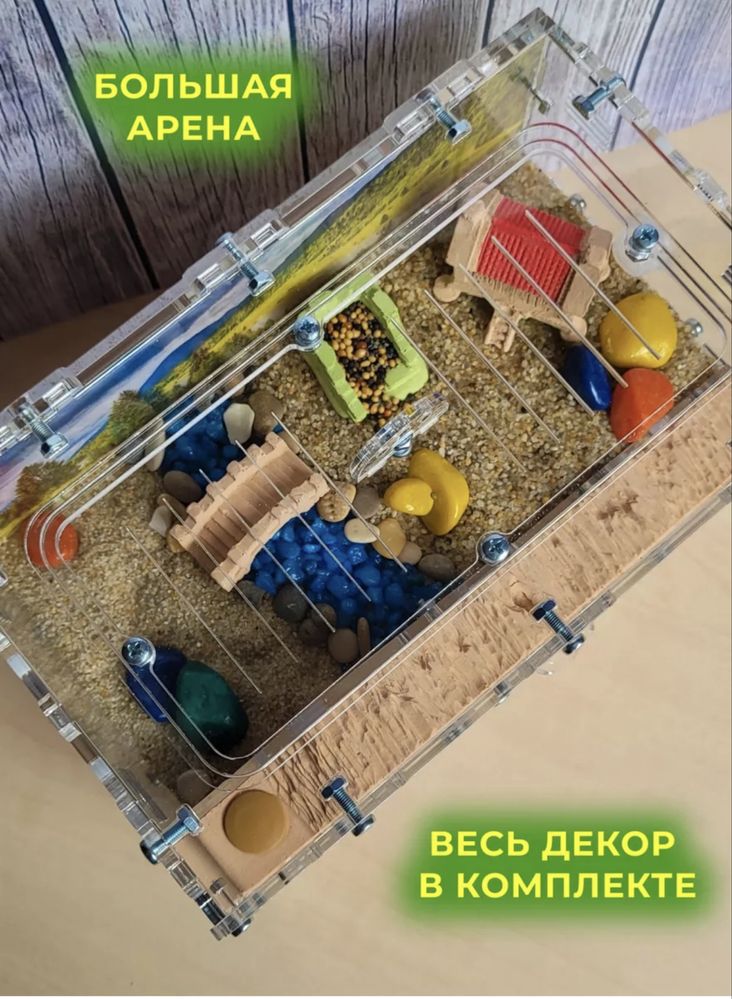 Продам муравьиная ферма Құмырсқа фермасы сатылады