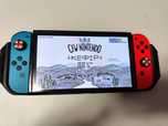 Свитч чипованый OLED