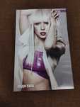 Постеры Lady Gaga