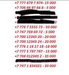 Продам номер Beeline и теле2