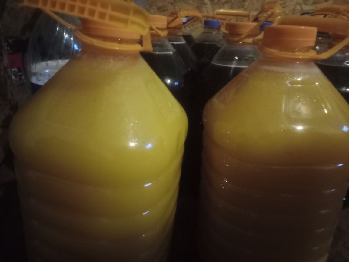 Продам мёд 2023, с собственной пасеки. 1800 тенге за ЛИТР