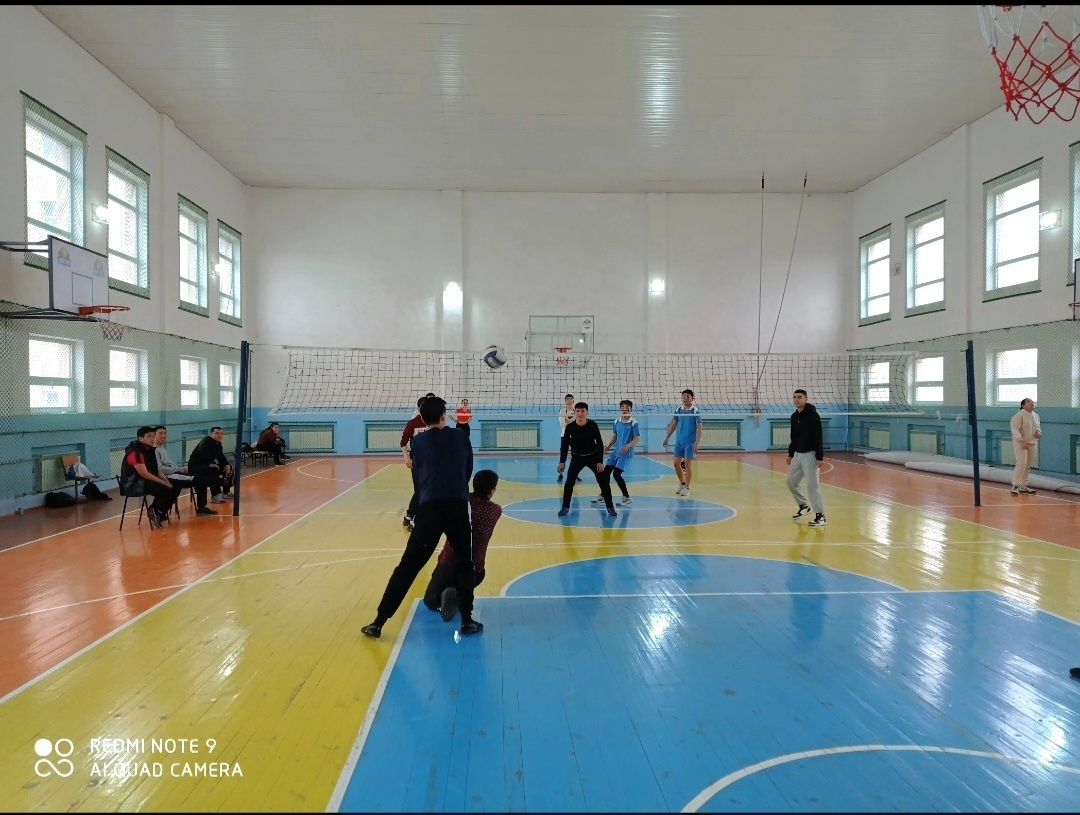 Аренда волейбольного и баскетбольного зала