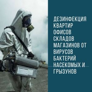 Дезинфекция от клопов тараканов муравьёв комаров мышей и пауков