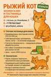 Зоогостиница  для кошек