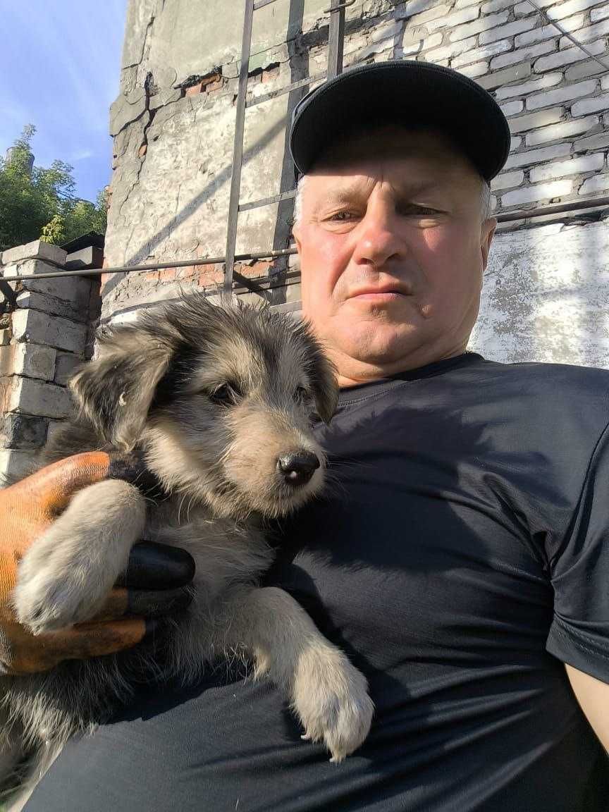 Отдам щенков в добрые руки!