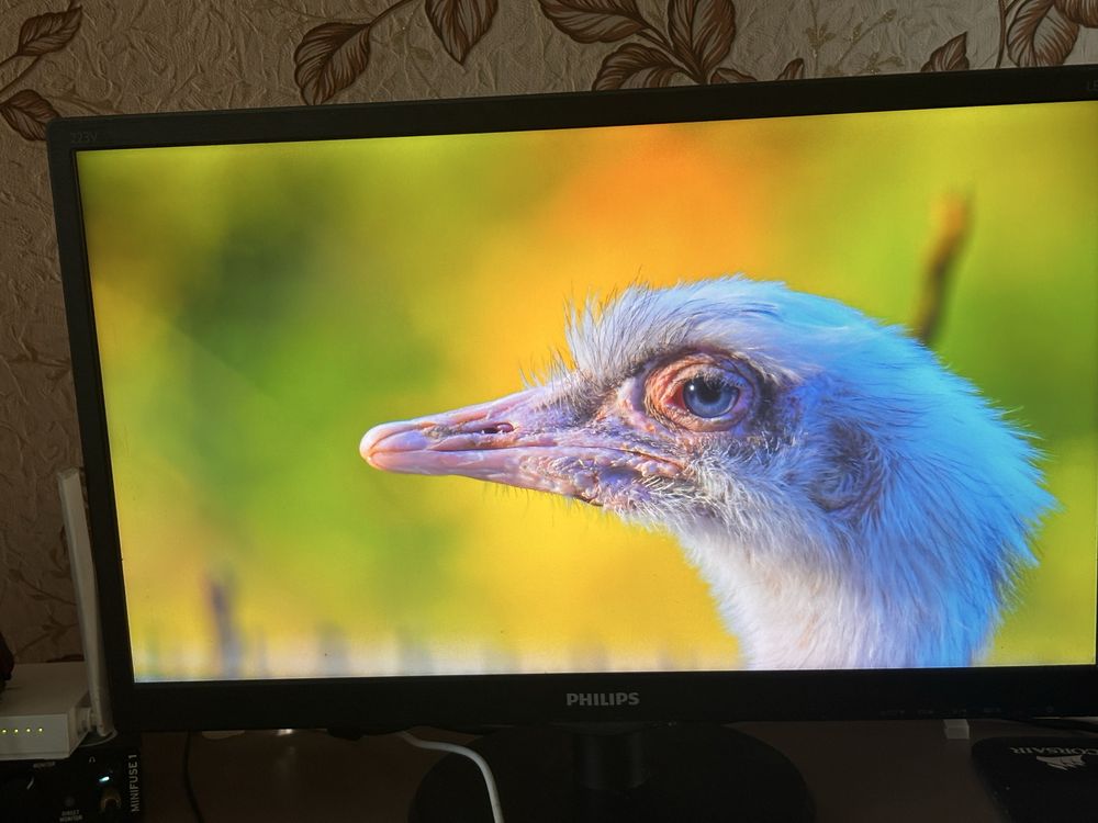 Монитор Philips 223V5LSB2/62 — 21.5”, Full HD