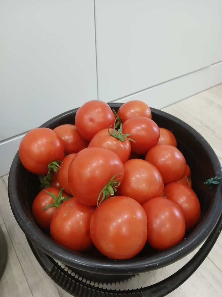 Продам домашние помидоры для засолки.дачные.спелые.средний размер.