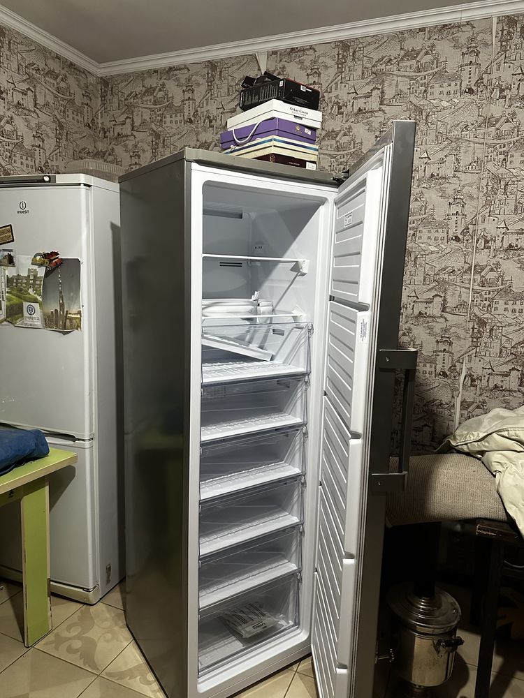 Моразильник бар.