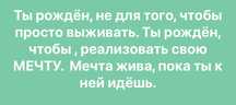 Бесплатный Институт Бизнеса.