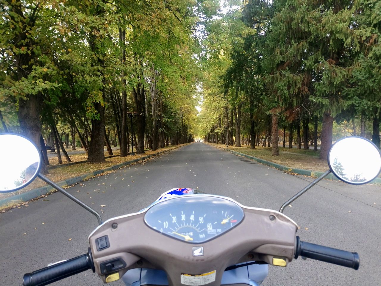 Honda Dio Cesta AF62