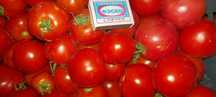 Продам на засолку домашний помидор