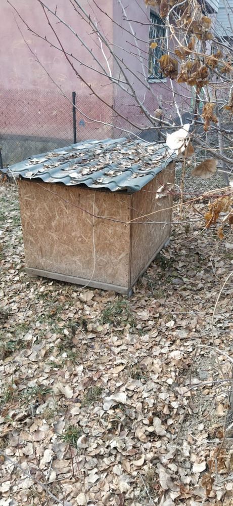 Продам большую будку для собак