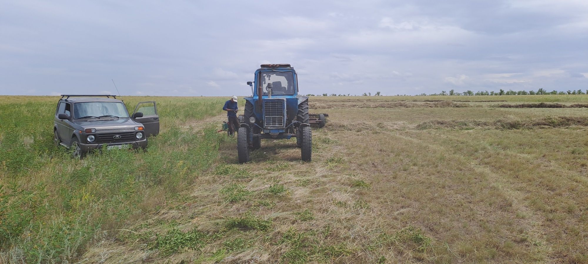 Продам крестьянское хозяйства