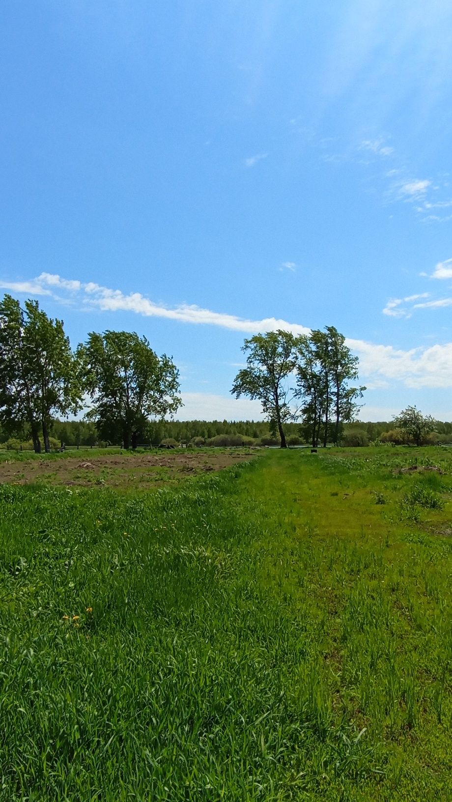 Продам дом Зерендинский район село Байтерек