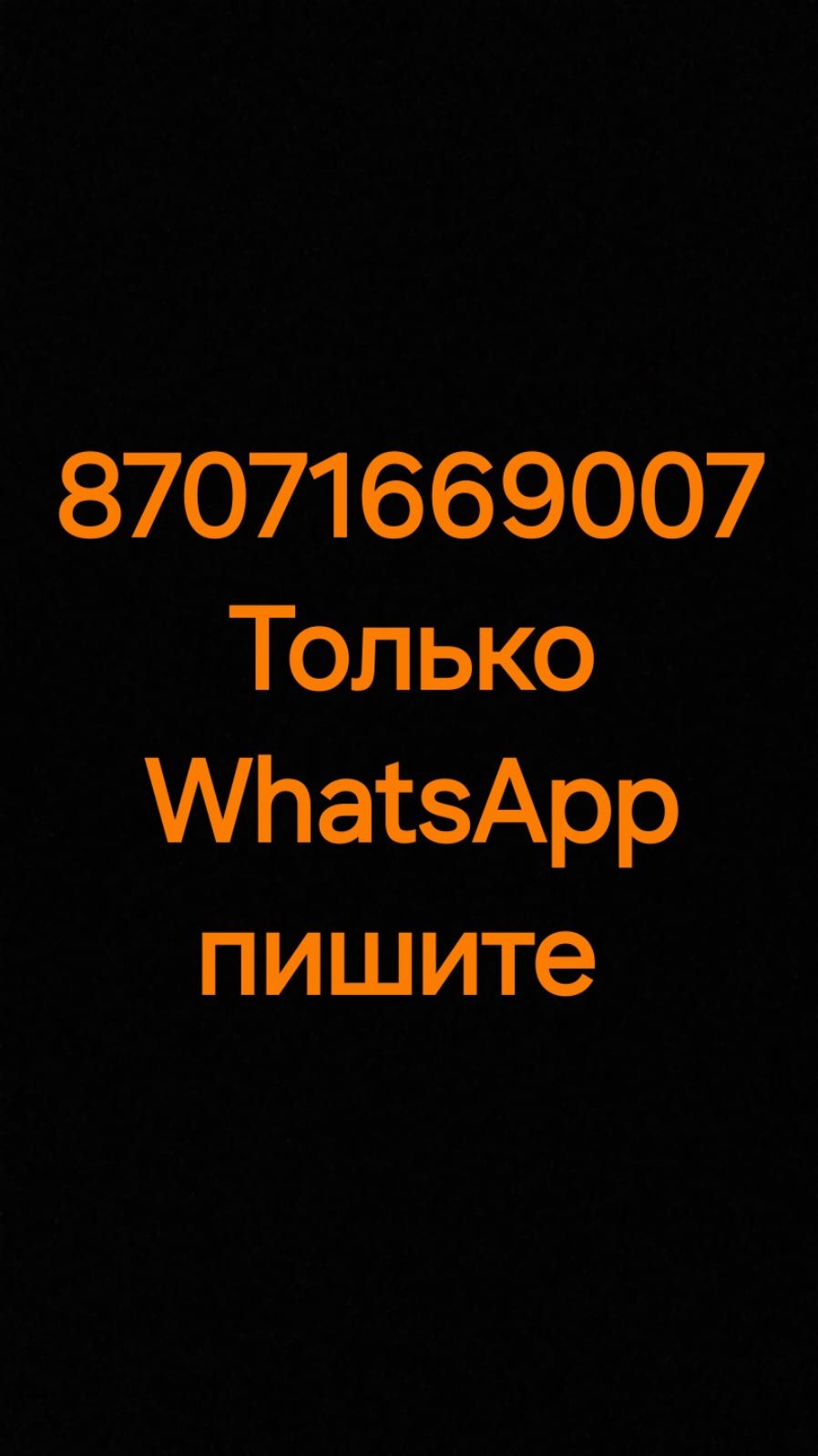 Барсетка Кожаный