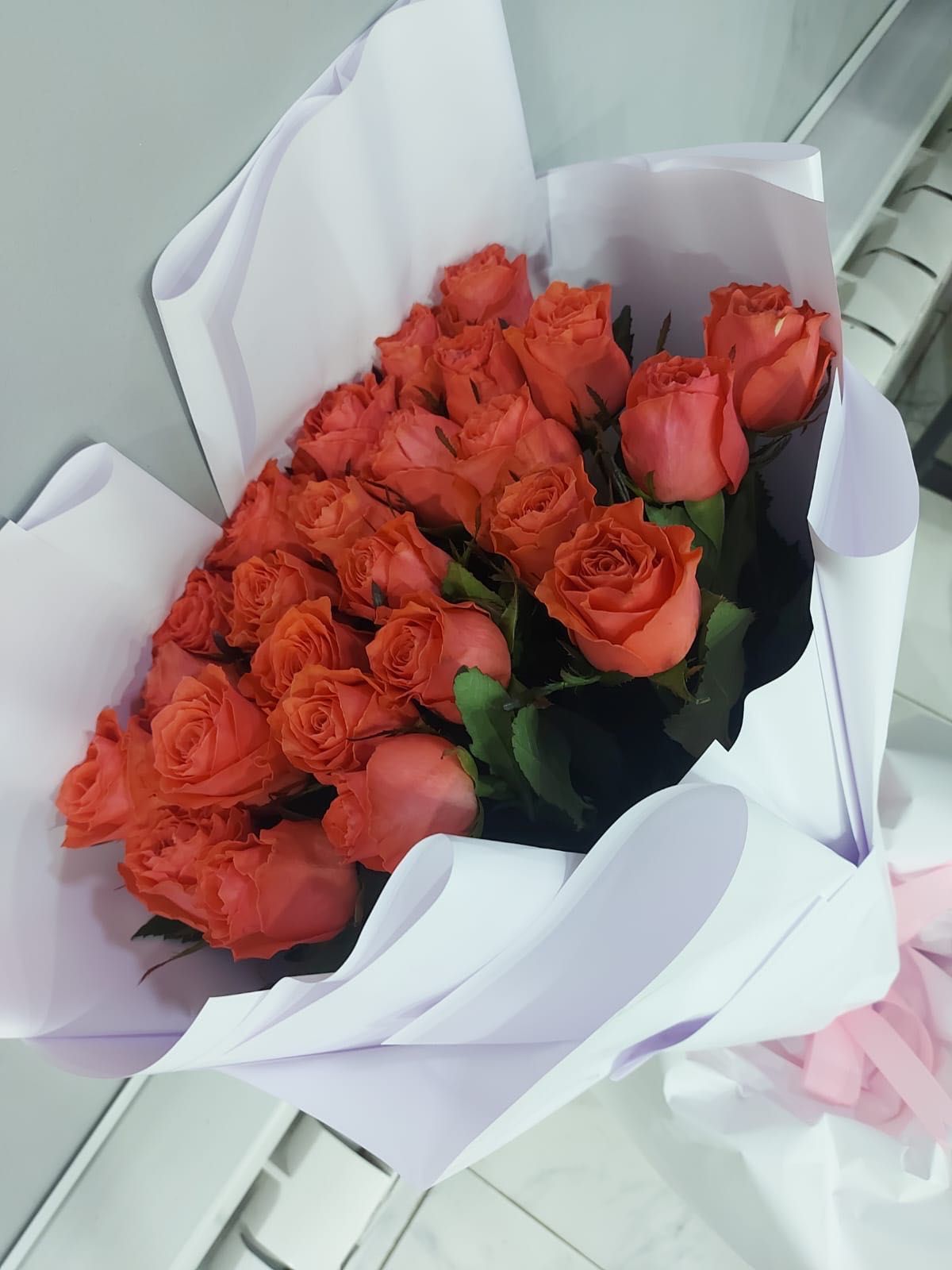25 метровых роз свежие