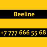 Номера красивые VIP Beeline