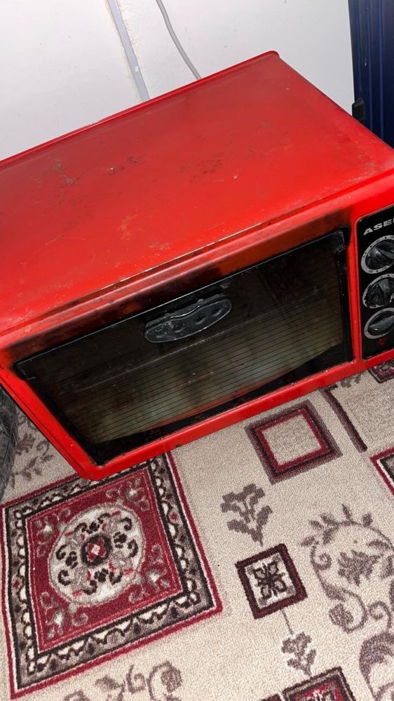 Асель пешка жағдайы көріп тұрғандай 7 мың
