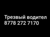 Трезвый водитель