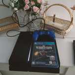 Плестейшен 4 с двумя играми