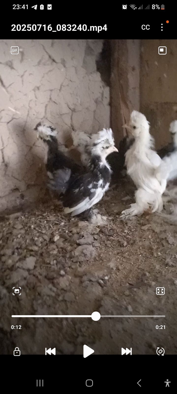 Султанка балдары 1 айлық