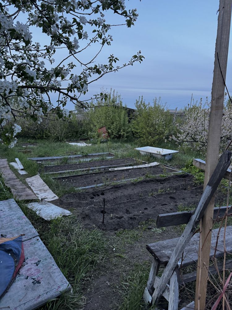 Прадам дачу СОАвтомобилист 32 улица 23 участок